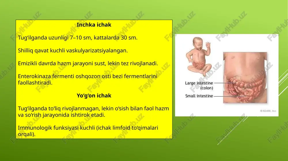 bolalar kasalliklari propedevtikasi - Page 5