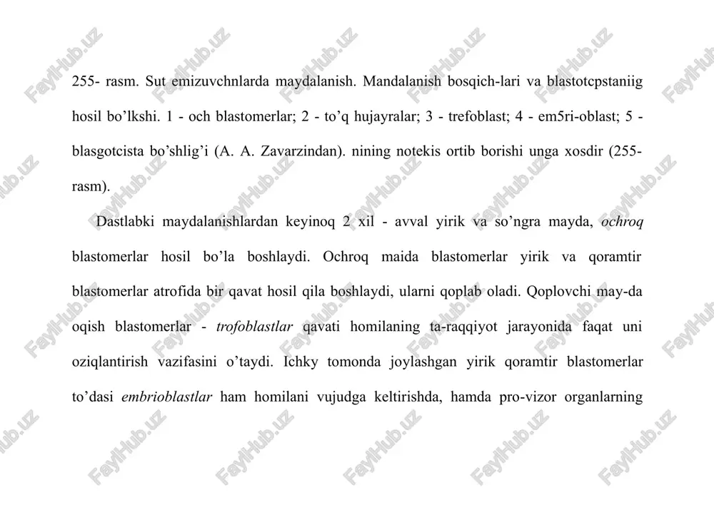 ’lib, qolgan qismi esa homiladan tashqari sariqlik entodermasidir. yuqorida aytib o’tilganlar shuni ko’rsatadiki, odam embrio-genezining dastlabki bosqichlari avval homiladan tashqari pardalar - trofoblast, homiladan tashqari mezoderma, amnion hamda sariqlik qopchalarining kuchli va mukammalroq taraqqiy eti-shi bilan. xarakterlanadi (256-rasm). shu tufayli homila va ona organizmi orasidagi mustahkam bog’lanish - homilaning oziqlanishi va rivojlanishi uchun zarur sharoit yuzaga keladi. 256-rasm. odam pushtnda provizororganlargiig hosil bo’lishi (sxema). !-zkzotcelomik membrananing saqlanib qolgan uchastkalari. 2 - xsrienning biriktiruvchi to’qimali qavati; 3-«definitiv» sariqlik qopining entodermasi; 4 - amnion bo’shlig’i; 5 - amnion tayoqchasi; b - trofoblast; 7- bachadon zptelnysi (a.g. kiorredai). rivojlanishning 15-17-kunlarida, gastrulyatciyaning navbatdagi bosqichida, homilaning orqa tomonidagi ektodermada (immigratciya natijasida) mayda hujayralar to’plami vujudga keladi. keyinchalik undan lantcetnik, amfibiy va baliqlar blastoporasining yon lablariga to’g’ri keladigan, qushlarniki kabi b i r l a m-ch i t a c ma va dorzal labning analogi bo’lmish genzen tuguni hosil bo’ladi. genzen tugunining oldidagi ektodermaning mayda hujayralarining …