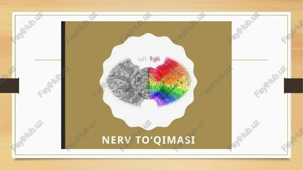 nerv to’qimasining taraqqiyoti - Page 5