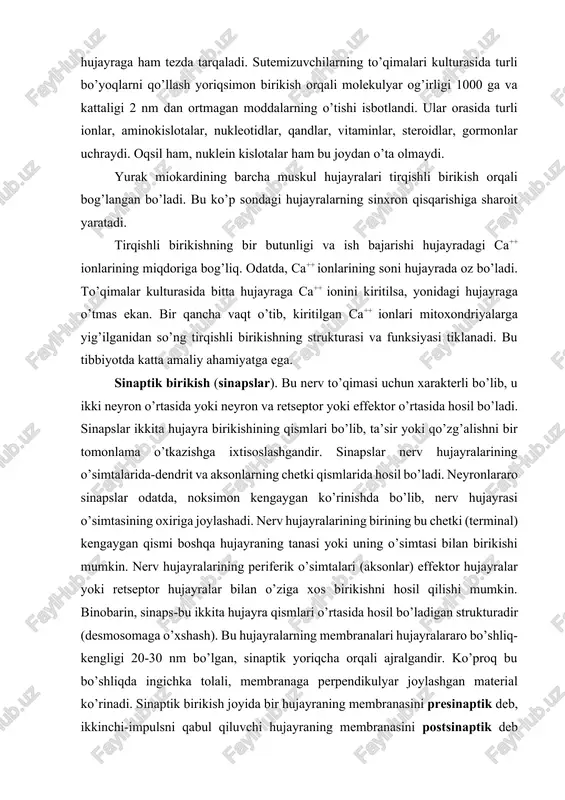 r). bu nerv to’qimasi uchun xarakterli bo’lib, u ikki neyron o’rtasida yoki neyron va retseptor yoki effektor o’rtasida hosil bo’ladi. sinapslar ikkita hujayra birikishining qismlari bo’lib, ta’sir yoki qo’zg’alishni bir tomonlama o’tkazishga ixtisoslashgandir. sinapslar nerv hujayralarining o’simtalarida-dendrit va aksonlarning chetki qismlarida hosil bo’ladi. neyronlararo sinapslar odatda, noksimon kengaygan ko’rinishda bo’lib, nerv hujayrasi o’simtasining oxiriga joylashadi. nerv hujayralarining birining bu chetki (terminal) kengaygan qismi boshqa hujayraning tanasi yoki uning o’simtasi bilan birikishi mumkin. nerv hujayralarining periferik o’simtalari (aksonlar) effektor hujayralar yoki retseptor hujayralar bilan o’ziga xos birikishni hosil qilishi mumkin. binobarin, sinaps-bu ikkita hujayra qismlari o’rtasida hosil bo’ladigan strukturadir (desmosomaga o’xshash). bu hujayralarning membranalari hujayralararo bo’shliq-kengligi 20-30 nm bo’lgan, sinaptik yoriqcha orqali ajralgandir. ko’proq bu bo’shliqda ingichka tolali, membranaga perpendikulyar joylashgan material ko’rinadi. sinaptik birikish joyida bir hujayraning membranasini presinaptik deb, ikkinchi-impulsni qabul qiluvchi hujayraning membranasini postsinaptik deb ataladi. presinaptik membrana yaqinida ko’p sonli mayda vakuolalar, mediatorlar bilan to’lgan sinaptik pufakchalar …