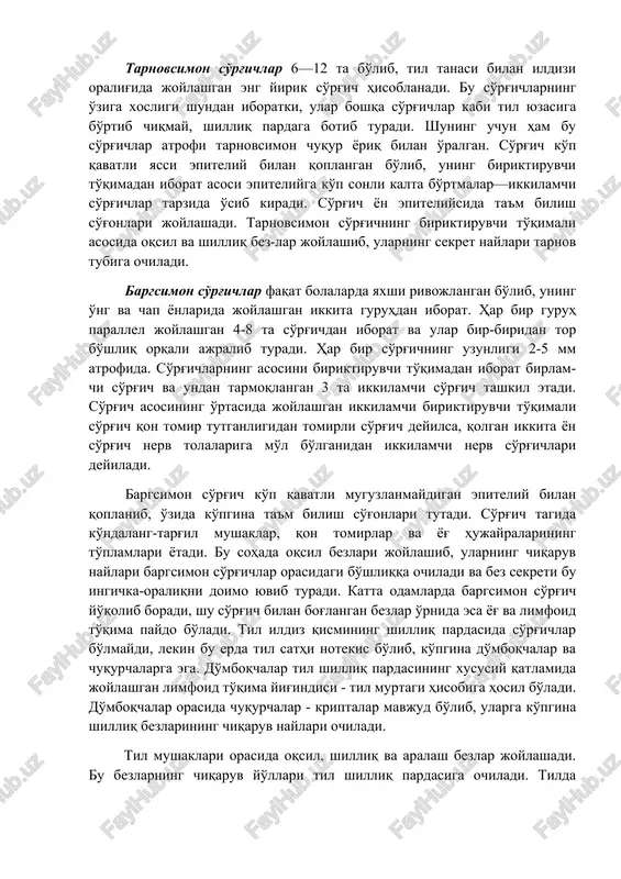 da bilan qoplangan bo'lib, shilliq osti pardasi bo'lmaydi. xususiy qavat mushaklararo biriktiruvchi to'qima bilan qo'shilib ketadi. tilda 4 xil so'rg'ich — xususiy qavatning epiteliyga botib kirishidan hosil yo'lgan tuzilmalar tafovut etiladi: ipsimon; zamburug'simon; tarnovsimon; bargsimon so'rg'ichlar. ipsimon so'rg'ichlari shilliq pardadan bo'rtib chiqib, til ustki yuzasini qoplagan turli uzunlikdagi o'simtalarni hosil kiladi. ipsimon so'rg'ichlar ko'p qavatli yassi muguzlanuvchi epiteliy bilan qoplangan. so'rg'ichlar asosida birlamchi va ikkilamchi biriktiruvchi to'qimali so'rg'ichlar joylashadi. zamburug'simon so'rg'ichlar asosan tilning yon tomonlarida va uch qismida joylashadi. bu so'rg'ichlarning uch tomoni keng, asosi esa ingichka. zamburug'simon so'rg'ich ham birlamchi biriktiruvchi to'qimali so'rg'ichdan, undan tarmoqlangan bir necha ikkilamchi biriktiruvchi to'qimali so'rg'ichlardan va ular yuzasini qoplab olgan ko'p qavatli yassi muguzlanmaydigan epiteliydan iborat. zamburug'simon so'rg'ichlar devorida oz miqdorda ta'm bilish so'g'onlari (piyozchalari) uchraydi. tarnovsimon so'rg'ichlar 6—12 ta bo'lib, til tanasi bilan ildizi oralig'ida joylashgan eng yirik so'rg'ich hisoblanadi. bu so'rg'ichlarning o'ziga xosligi shundan iboratki, ular boshqa so'rg'ichlar kabi til yuzasiga …