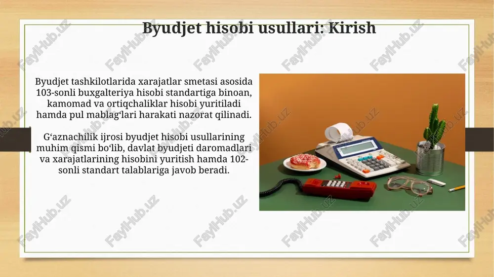 byudjet hisobi: afzalliklari va kamchiliklari - Page 5