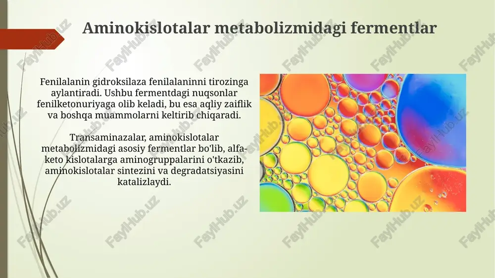 siydik kislotasi sikli fermentlari - Page 5