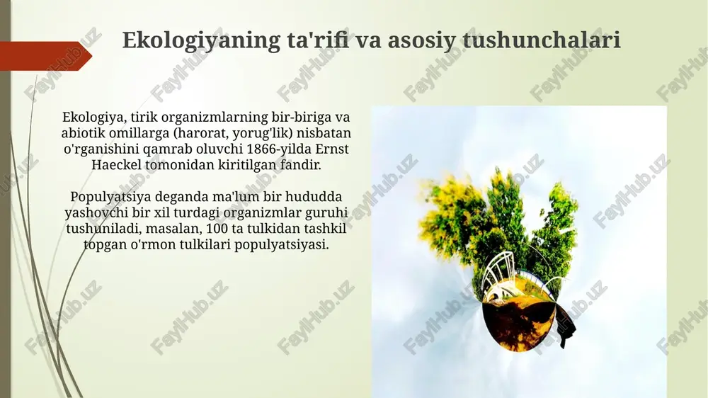 ekologiya tushunchasi - Page 5