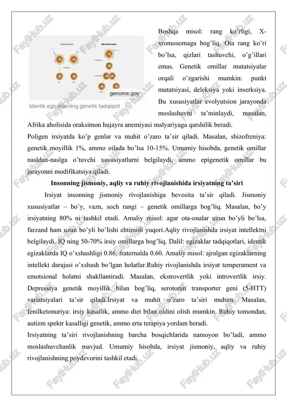 ni tashkil etadi. amaliy misol: agar ota-onalar uzun bo’yli bo’lsa, farzand ham uzun bo’yli bo’lishi ehtimoli yuqori.aqliy rivojlanishda irsiyat intellektni belgilaydi. iq ning 50-70% irsiy omillarga bog’liq. dalil: egizaklar tadqiqotlari, identik egizaklarda iq o’xshashligi 0.86, fraternalda 0.60. amaliy misol: ajralgan egizaklarning intellekt darajasi o’xshash bo’lgan holatlar.ruhiy rivojlanishda irsiyat temperament va emotsional holatni shakllantiradi. masalan, ekstrovertlik yoki introvertlik irsiy. depressiya genetik moyillik bilan bog’liq, serotonin transporter geni (5-htt) variatsiyalari ta’sir qiladi.irsiyat va muhit o’zaro ta’siri muhim. masalan, fenilketonuriya: irsiy kasallik, ammo diet bilan oldini olish mumkin. ruhiy tomondan, autizm spektr kasalligi genetik, ammo erta terapiya yordam beradi. irsiyatning ta’siri rivojlanishning barcha bosqichlarida namoyon bo’ladi, ammo moslashuvchanlik mavjud. umumiy hisobda, irsiyat jismoniy, aqliy va ruhiy rivojlanishning poydevorini tashkil etadi. rivojlanish jarayonining asosiy bosqichlari rivojlanish jarayoni inson hayoti davomida davom etadigan murakkab jarayon bo’lib, biologik, psixologik va ijtimoiy bosqichlarni o’z ichiga oladi. bu bosqichlar erik eriksonning psixososyal rivojlanish nazariyasiga asoslanadi, u sakkiz bosqichdan …