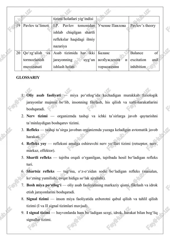 tva, voznikayushie v rezultate deyatelnosti visshey nervnoy sistemi. 20. adaptatsiya — protsess prisposobleniya organizma k usloviyam vneshney sredi pri uchastii nervnoy sistemi. glossary 1. higher nervous activity — a complex system of physiological processes in the cerebral cortex responsible for thinking, emotions, and behavior. 2. nervous system — the control system of the body that coordinates reactions to internal and external stimuli. 3. reflex — an automatic response of the organism to a stimulus. 4. reflex arc — the neural pathway of a reflex (receptor, nerve, center, effector). 5. conditioned reflex — a learned reflex acquired through experience or training. 6. unconditioned reflex — an inborn, natural reaction (e.g., blinking, salivation at the sight of food). 7. cerebral cortex — the highest center of nervous activity, responsible for consciousness, speech, and thought. 8. signal system — the system through which the brain perceives and processes information (first and second signal …