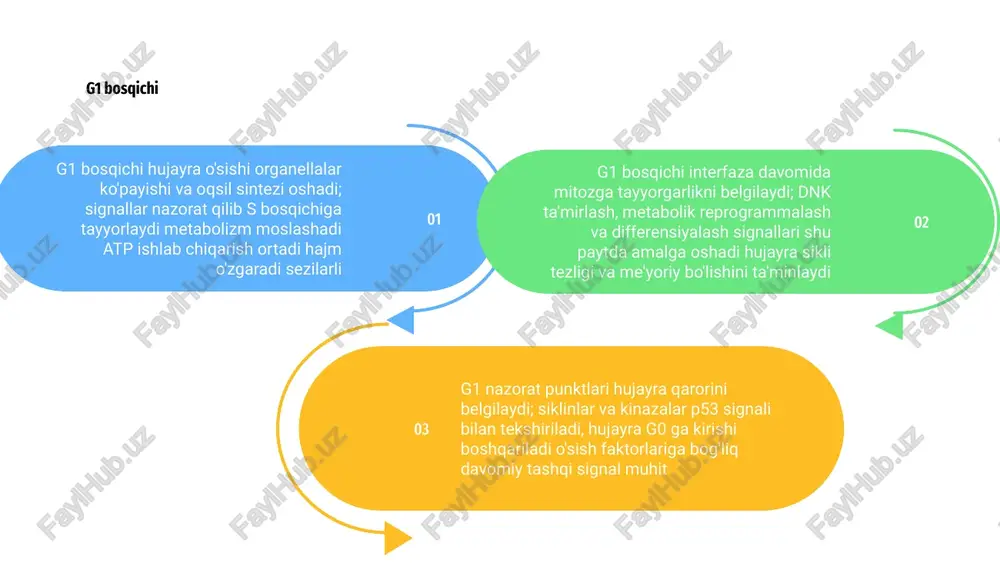 rni sintezlaydi, primerlar rna boshlang‘ich rolini bajaradi, shuningdek. 3 mitoz hujayra bo‘linishi yana nukleuslar teng taqsimlanishini taʼminlaydi: profaza, metafaza, anafaza va telofaza bosqichlarida xromosomalar aniq joylashadi, spindel tolalari xromosomalarni tortib oladi, checkpointlar nazorat qiladi. interfazada hujayra sikli nazorat punktlari dnk replikatsiyasini, g1 va g2 tekshiruvlarini, xatolarni tuzatishni va mitozga tayyorgarlikni nazorat qiladi. sitokinlar signalizatsiyasi hayotiy rol o'ynaydi ham mavjud. mitoz bosqichlarida profaza, metafaza, anafaza va telofaza nazorat qilinadi; kinetoxor bog'lanishi, mitotik spindel va xromosomal taqsimlanish tekshiriladi noto'g'ri bo'lsa hujayra sikli to'xtaydi yoki apoptoz boshlanadi. nazorat punktlari regulyatorlar sifatida siklin-cdk kompleksi, p53 va apc/c markaziy rol o'ynaydi; ularning disfunktsiyasi nazorat nuqsonlariga va onkogenezga olib keladi genetik barqarorlik va davolash strategiyasi tez-tez baholanadi biologik va klinik ahamiyati mitoz hujayra bo'linishi genetik materialni teng taqsimlaydi, interfaza esa dnk replikatsiyasi va hujayra tayyorgarligini ta'minlaydi, organizm o'sishi uchun zarur rivojlanish va to'qima tiklanishi jarayonlarini qo'llab-quvvatlaydi. 01 mitoz va interfaza nazorati buzilganda saraton rivojlanadi; tadqiqotlar, dori …