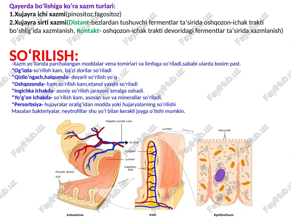 oni yoʻq vaziyatli masalalar: 1.poliklinikaga 23 yoshli ayol tez-tez hushidan ketish shikoyati bilan olib kelindi. tekshirilganda qonda eritrotsitlar 2.8 mln, gemoglobin 62 g/l, tana harorati +35,5° c, aqb 87/55, obeyktiv koʻrikda ozgʻin, umumiy holsizlik bor, teri va shilliq qavatlar quruq. bemordan soʻralganda "koʻp ovqat yeyman"- deydi? sizning dastlabki tashhisingiz va taktikangiz? 2.poliklinikaga 22 yoshli m. ismli ayol 4 yildan buyon koʻp ovqatlanish, ovqatlanishdan keyingi qusish va asabiylikdan shikoyat qilib keldi. u 18 yoshida yigiti tashlab ketganidan soʻng oʻziga qaramay koʻp ovqatlana boshlaganini bildirdi. u jahli chiqqanda koʻp ovqat yeb, keyin qusdiruvchi dorilar ichish orqali semirib ketishdan himoyalangan. tekshirilganda tana vazni 58 kg, boʻyi 1,68m , aqb 100/70 ekanligi aniqlandi. sizning dastlabki tashhisingiz va taktikangiz? javoblar: 1. bemorda anoreksiya nevrozi. bemorni psixolog koʻrigiga yuboramiz, meʼyorda ovqatlanishi kerakligini tushuntiramiz. anemiyani davolash uchun vitamin b12 va ferkoven(temir saqlovchi dori) preparatlarini buyuramiz 2.bemorda bulemiya nevrozi. bemorga prozak (antidepressant) preparatini buyuramiz va psixolog koʻrigiga yoʻllanma …