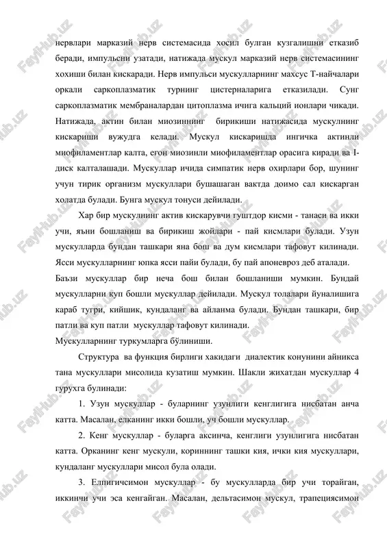 yana bosh va dum kismlari tafovut kilinadi. yassi muskullarning yupka yassi payi buladi, bu pay aponevroz deb ataladi. ba'zi muskullar bir necha bosh bilan boshlanishi mumkin. bunday muskullarni kup boshli muskullar deyiladi. muskul tolalari yunalishiga karab tugri, kiyshik, kundalang va aylanma buladi. bundan tashkari, bir patli va kup patli muskullar tafovut kilinadi. muskullarning turkumlarga bo'linishi. struktura va funktsiya birligi xakidagi dialektik konunini ayniksa tana muskullari misolida kuzatish mumkin. shakli jixatdan muskullar 4 guruxga bulinadi: 1. uzun muskullar - bularning uzunligi kengligiga nisbatan ancha katta. masalan, elkaning ikki boshli, uch boshli muskullar. 2. keng muskullar - bularga aksincha, kengligi uzunligiga nisbatan katta. orkaning keng muskuli, korinning tashki kiya, ichki kiya muskullari, kundalang muskullari misol bula oladi. 3. elpigichsimon muskullar - bu muskullarda bir uchi toraygan, ikkinchi uchi esa kengaygan. masalan, deltasimon muskul, trapetsiyasimon muskul. bunday muskullar kupincha, uch ukli bugimlar atrofida uchrab, 5-6 xil xarakatlarda ishtirok etadilar va eng xarakatchang muskullar …