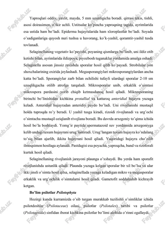 i maydaroq, qavariq tomonda poyani botiq tomonidagilari yirikroq, biroz boshqacharoq tuzilishli bo’ladi. poyaning yuzasi silliq yoki biroz tukli, epidermada ustitsalari bo’lmaydi. po’stlog’i zich va siyrak joylashgan hujayralardan iborat, ikkita qatlamdan iborat. floemaning o’tkazuvchi elementlari elaksimon qismlar, ba'zilarida traxeidlar, yana boshqalarida haqiqiy to’qimalardan tashkil topgan. yaproqlari oddiy, yaxlit, mayda, 5 mm uzunligicha boradi. qirrasi tekis, tishli, asosi doirasimon, o’tkir uchli. ustitsalar ko’pincha yaproqning tagida, ayrimlarida esa ustida ham bo’ladi. epiderma hujayralarida ham xloroplastlar bo’ladi. soyada o’sadiganlariga quyosh nuri tushsa u havorang, ko’k-yashil, qoramtir-yashil tusda tovlanadi. selaginellaning vegetativ ko’payishi, poyaning qismlarga bo’linib, uni ildiz otib ketishi bilan, ayrimlarida ildizpoya, piyozbosh tuganaklar yordamida amalga oshadi. selaginella asosan jinssiz ravishda sporalar hosil qilib ko’payadi. strobilalar yon shoxchalarining oxirida joylashadi. megasporangiylari mikrosporangiylardan ancha katta bo’ladi. sporangiylar zarb bilan ochilishi tufayli ulardagi sporalar 2-10 sm uzoqlikgacha otilib atrofga tarqaladi. mikrosporalar unib, erkaklik o’simtasi mikrospora pardasini yorib chiqib ketmasdanoq hosil qiladi. mikrosporaning birinchi bo’linishidan kichkina protallial va …