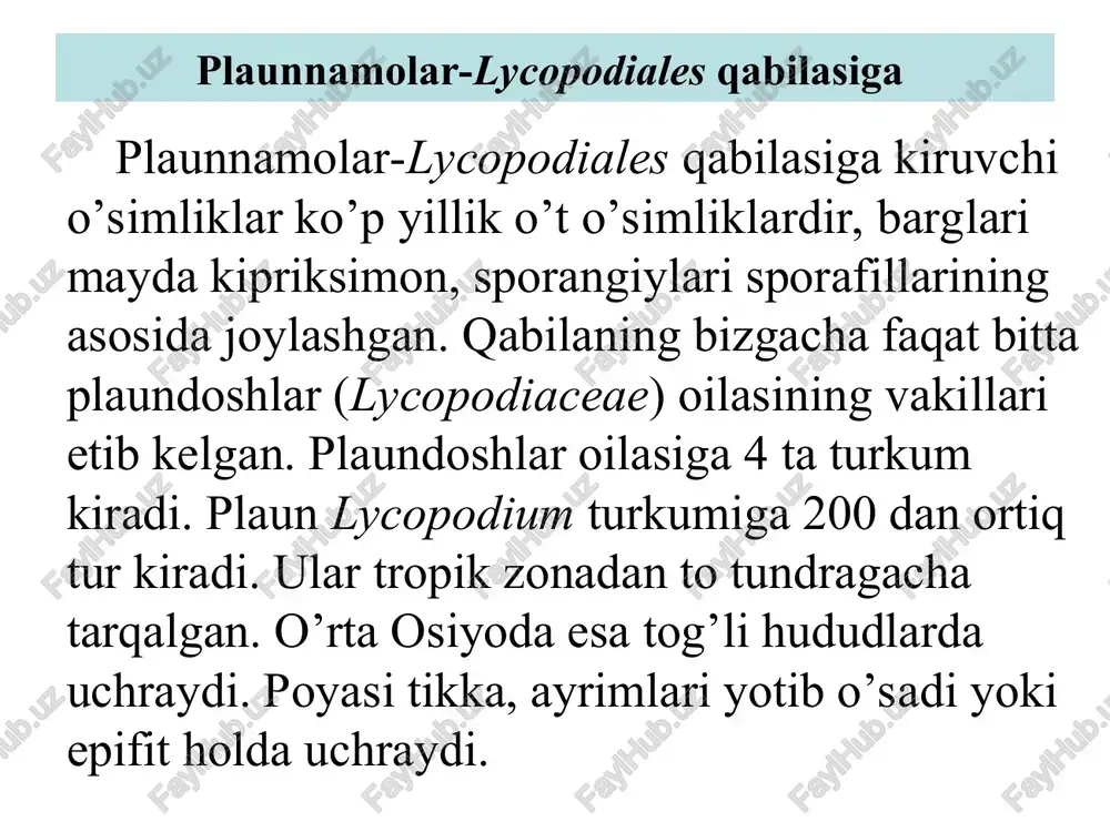 rida hosil bo'lib, o'simlik tanasidan shakllanadi. o'simlikning poya va ildizlari dixotomik shoxlangan qabila polushniknamolar isoetales