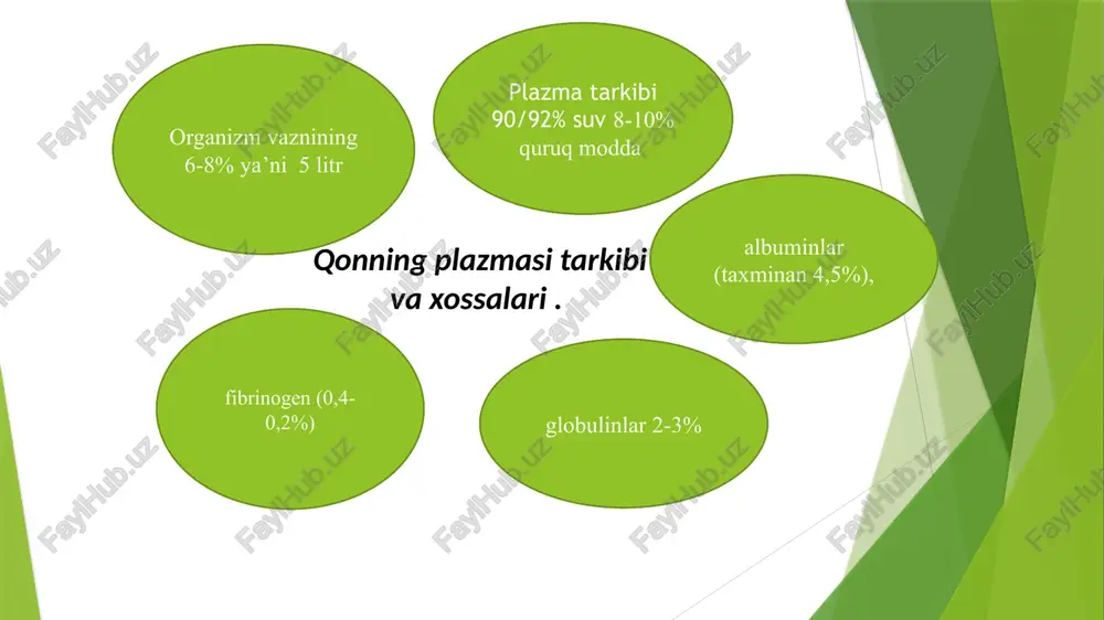 p ostida granulotsitlar hujayra qobig'ining ko'p sonli psevdopodiyalari hisobiga noto'g'ri shaklda ekanligi ko'rinadi. hujayra organellalari kam sonli: tsitoplazma bo'ylab bir tekisda tarqoq joylashgan mayda mitoxondriyalar va endoplazmatik to'r pufakchalari ko'rinadi. neytrofil leykotsitlar yoki neytrofillar. ular yumaloq shaklga ega bo'lib, diametri qonda 7- 9 mkm, qon surtmalarida esa yapaloqlashib 10-13 mkm gacha etadi. neytrofillar leykotsitlar ichida eng ko'p sonli bo'lib, ular umumiy miqdorining 65-70 protsentini tashkil etadi. neytrofillarning yashash muddati o'rta hisobda 10,2 sutkaga teng bo'lib, shundan 4 sutkasi suyak ko'migida o'tadi. neytrofillar periferik qonda oz muddat (8-24 soat) bo'ladi. to'qimaga tushgach, ular qaytib tomirlarga o'tmaydi, to'qimalarda o'z vazifalarini ado etgach, emiriladi. neytrofillar miqdorining ko'payib ketishi - neytrofilѐz turli xil yallig'lanish reaktsiyalarida kuzatiladi. bunday hollarda ko'pincha taѐqcha yadroli va ѐsh neytrofillar protsent miqdoriniig ko'payishi, ya'ni leykotsitar formulaning chapga siljishi qayd etiladi eozinofillar – yirik hujayralar, diametri 9-10 mkm, surtmalarda 12-14 mkm, umumiy leykotsitlarning 1-5 % tashkil etadi. yashash muddati 6-8 kun. …