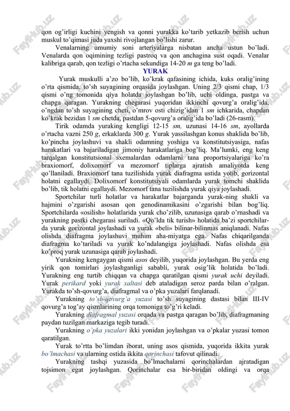 kapillyar sfinkterlar joylashadi. prekapillyar qismi arteriolaga tegishli bo’lib, uning devori ham endoteliydan va siyrak joylashgan silliq miotsitlardan iborat. prekapillyarlardan so’ng sof kapillyarlar boshlanib, ularning boshlang’ich qismida sfink-terlar bor. sof kapillyarlar postkapillyarlarga (postkapillyar venu-lalarga) davom etadi. har bir postkapillyar ikkita yoki bir nechta kapillyarlarni qo’shilishidan paydo bo’ladi. ularning devori tashqaridan yupqa advetitsial qavat bilan qoplangan bo’lib, cho’ziluvchanchlik va o’tkazuvchanlik xususiyatiga ega. postkapillyarlar o’z navbatida qo’shilib, venulalar hosil qiladi. venulalar diametri 25-30 mkm. venulalar venalarga quyiladi. mikrotsirkulyator tizimida ba’zan qonni to’g’ridan-to’g’ri arterioladan venulaga o’tish hodisasi kuzatiladi. bunga arteriya-venoz anastomozi deyiladi. mikrotsirkulyator tizimi tarkibiga limfatik kapillyarlar ham kiradi. kapillyar turi hosil bo’lganda uning boshlang’ich qismi arterioladan boshlanib, to’rdan esa venula chiqadi. ba’zi a’zolarda (buyraklar, jigar) bu qonuniyat buziladi. masalan, buyrakda tomirli koptokcha qonni olib keluvchi va qonni olib ketuvchi arteriolalar orasida hosil bo’ladi, jigarda kapillyarlar to’ri esa olib keluvchi va olib ketuvchi venulalar orasida joylashgan. bunday ikkita bir xil tipdagi qonni tomirlar orasida …