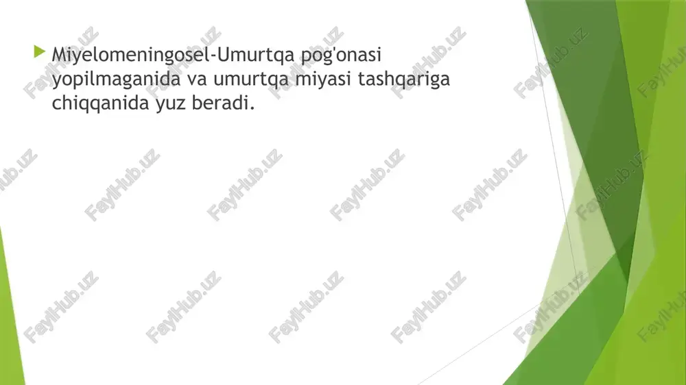 umurtqapog'onasituzilishivafunktsiyasi - Page 5
