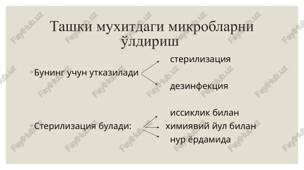 tashqi muhit omillarini mikroorganizmlarga ta'siri - Page 5