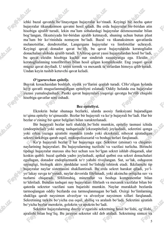 yuz beradi, keyinchalik lizosomalar yordamida parchalanadi va qonga transport qilinadi. ko‘p qatorli epiteliy. bu epiteliyni yana yolg‘on ko‘p qavatli deb ham ataladi, chunki yadrolari turli balandlikda joylashganligi uchun ko‘p qavatlilik taassurotini uyg‘otadi. yuqori nafas yo‘lining katta qismini, urug‘ chiqaruv yo‘llarini qoplaydi. bu erda 4 xil endokrin e, c, p va d hujayralar farqlanadi. ko‘p qavatli epiteliy. ko‘p qavatli muguzlanmaydigan epiteliy. og‘iz bo‘shlig‘ini, qizilo‘ngachni, qinni va ko‘z muguz pardasini qoplaydi. uch qavat hujayralardan hosil bo‘ladi. birinchi qavat silindr shaklidagi hujayralar, keyingi qavat poligonal uchinchi qavat esa yassi hujayralardan iborat. bazal va tikanaksimon qavatda ko‘payish yuz beradi, ko‘plab mitoz shakllar kuzatiladi. bu erda juda ko‘p erkin nerv oxirlari bor. ko‘p qavatli muguzlanuvchi epiteliy. teri qoplamasi – tashqi tomonini hosil qiladi, tez yangilanib turiladi, kaft va tovonda (qalin teri) besh qavat, qolgan sohalarda esa 4 qavat hujayralardan iborat. keratin qavati hisobiga kuchli mexanik ta’sirlarga yahshi qarshilik ko‘rsatadi. eng ichki bazal qavatda bo‘linayotgan hujayralar …