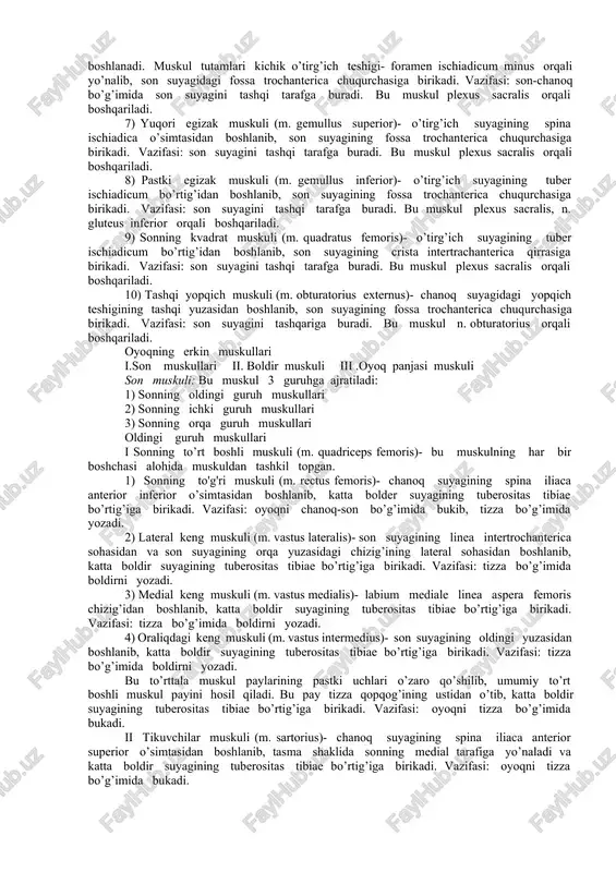 s lateralis o’simtasidan boshlanib, iii kaft suyagi asosining orqa yuzasiga birikadi. vazifasi: qo’l panjasini bilak tarafga yozadi. 4) barmoqlarni yozuvchi muskuli (m. extensor digitorum)- yelka suyagining epicondylus lateralis o’simtasidan boshlanib, ii – v barmoqlar o’rta falangasi va tirnoq falangalarining orqa yuzasiga birikadi. vazifasi: barmoqlarni yozadi. 5) jimjiloqni yozuvchi muskuli (m. extensor digiti minimi)- barmoqlarni yozuvchi muskul paylaridan ajraladi va v barmoqqa birikadi. vazifasi: jimjiloqni yozadi va tirsak tarafga uzoqlashtiradi. 6) qo’l panjasini yozuvchi tirsak tarafdagi muskuli (m. extensor carppi ulnaris)-yelka suyagining epicondylus lateralis o’simtasidan va tirsak suyagining orqa yuzasidan boshlanib, v kaft suyagining bo’rtig’iga birikadi. vazifasi: qo’l panjasini yozadi va tirsak suyagi tarafga buradi. bu muskullar n.radialis orqali boshqariladi. chuqur muskullari 1) bilakni tashqariga buruvchi muskuli (m. supinator)-yelka suyagining epicondylus lateralis o’simtasidan, tirsak suyagining yuqori uchidan boshlanib, bilak suyagining yuqori uchiga birikadi. vazifasi: bilakni tashqi tarafga buradi. 2) bosh barmoqni uzoqlashtiruvchi uzun muskuli (m. abductor pollicis longus)- bilak suyagining orqa …