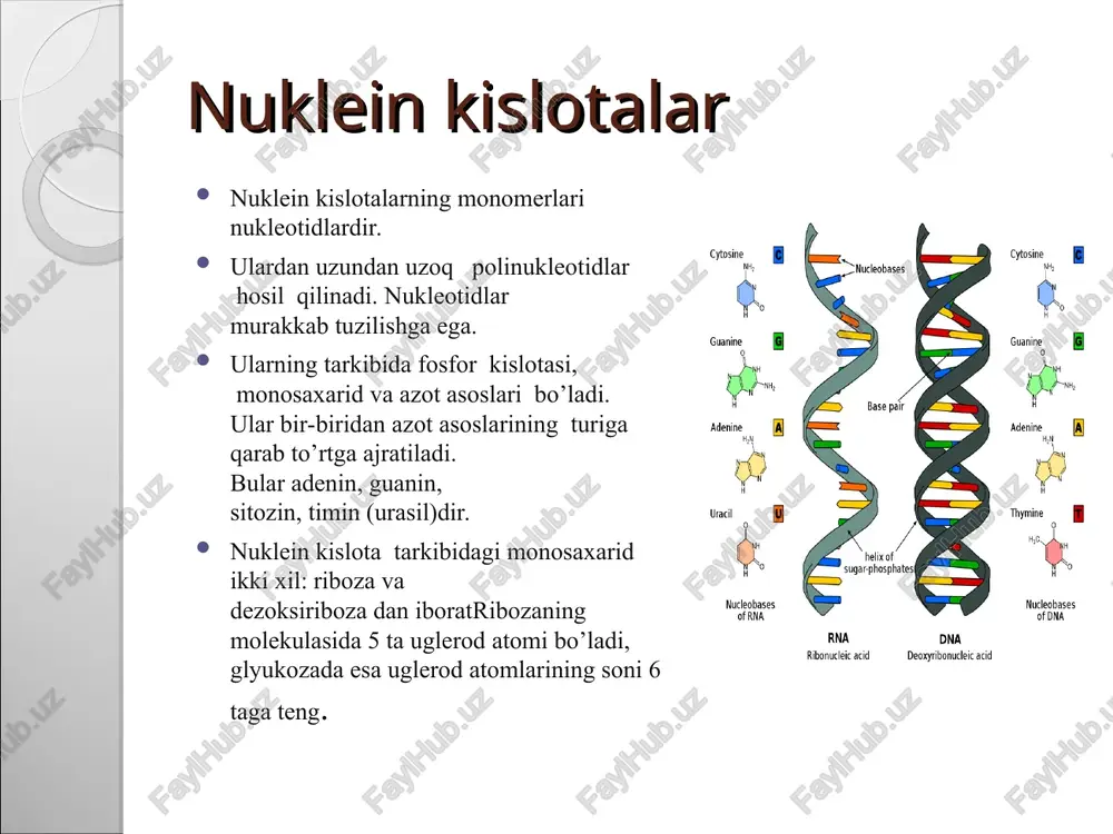nuklein kislotalar - Page 5