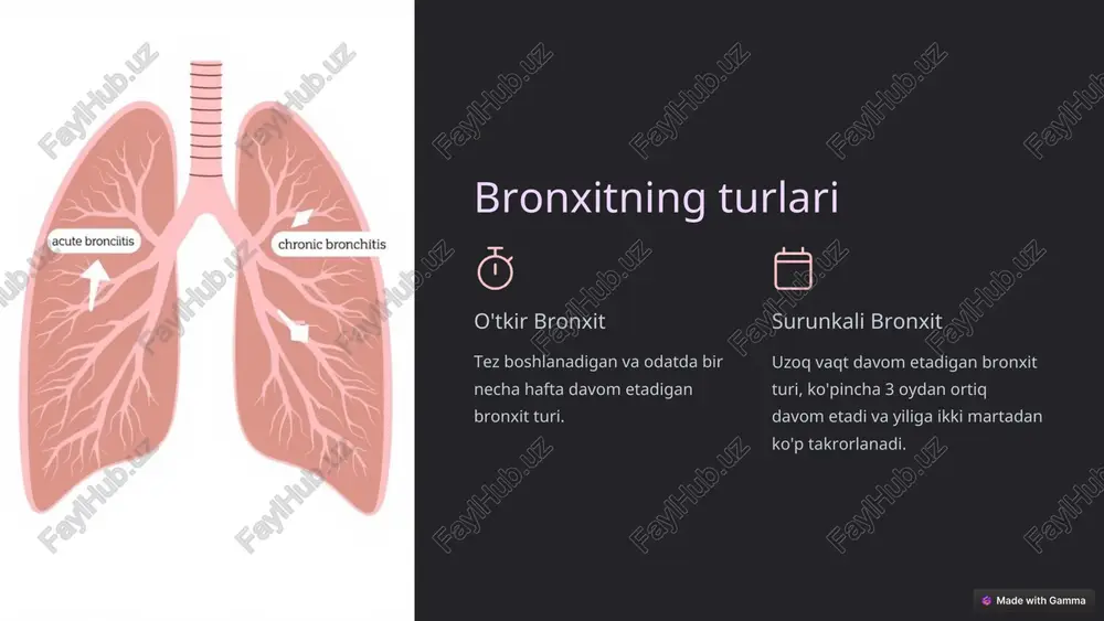 changli bronxit: sabablari, belgilari va davolash - Page 5
