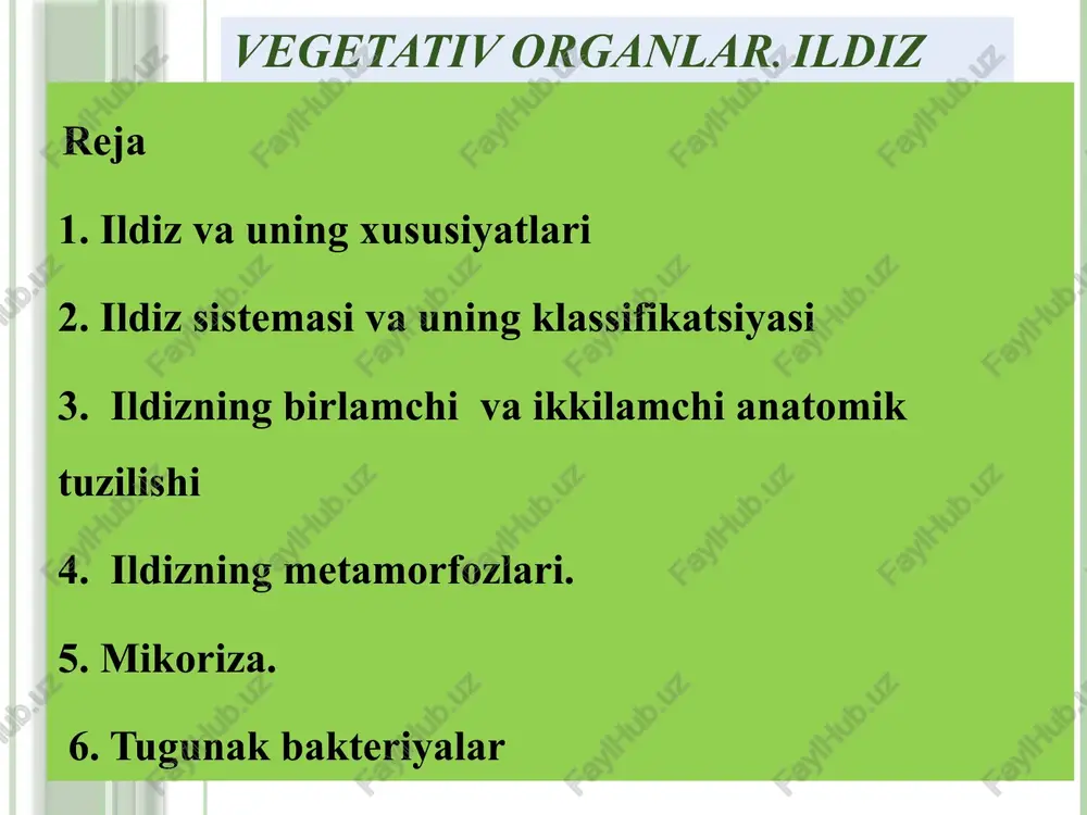 xanik to’qima kuchli taraqqiy etgan bo’ladi. xodulnie korni ildizga tegishli atamalar o’zbekcha ruscha inglizcha ildiz,tomir koren root qo’shimcha ildiz dopolnitelniy koren additional root tayanch ildiz oporniy koren brace root ildiz qini koleoriza coleorhiza popuk ildiz mochkavatiy koren fibrillose root yon ildizlar bokovoy koren lateral root o’q ildiz glavniy koren main root etdor ildiz myasistiy koren puply root ildiz tuklari kornevoy volosok root hair ildiz tizimi kornevaya sistema root system so’ruvchi ildiz sosushiy koren sucking root e'tiboringiz uchun raxmat image2.emf image3.emf image4.emf image5.emf image6.png image7.png image8.jpeg image9.jpeg image10.png image11.jpeg image12.png image13.jpeg image14.jpeg image15.jpeg image16.png image17.jpeg image18.jpeg image19.jpeg image20.jpeg image21.png image22.jpeg image23.jpeg image24.jpeg image25.jpeg image26.jpeg image27.png image28.jpeg image29.jpeg image30.jpeg image31.jpeg image32.jpeg image33.jpeg image34.jpeg image35.jpeg image36.jpeg image37.jpeg image38.jpeg image39.jpeg image40.jpeg image41.jpeg image42.jpeg image43.jpeg image44.jpeg image45.jpeg image46.jpeg image47.jpeg image48.jpeg image49.jpeg image50.jpeg image51.jpeg image52.jpeg image53.jpeg image54.jpeg /docprops/thumbnail.jpeg