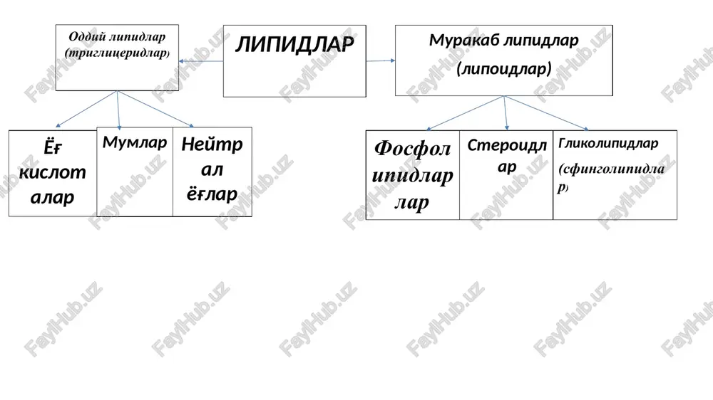 minlovchi fermentdir. tomir endoteliysida joylashgan lp-lipaza qondagi xm bilan birikib, ularni glitserin va yog' kislotalargacha gidrolizlaydi va xujayralarga kirishini ta'minlaydi. so'ngra, periferik organlarda energetik substrat sifatida ishlatiladi (yog' kislotalar -oksidlanishi). qoldiq xilomikronlar (remnantlar) gepatotsitlarga borib, qon o'zanidan tezda chiqib ketadi: ovqat ist'emol qilinganidan bir-necha soatdan so'ng, ular qon plazmasida topilmaydi. lipoproteinlipaza axamiyati xilomikronlar bilan zjpl bir kecha-kunduzda 70-150 g ekzogen (ovqat bilan birga tushadigan) va endogen (jigarda sintezlanadigan) yog'larni organ va to'qimalarga taqsimlab beradi. turli organlar kapillyarlarining endoteliysida lipoproteinlar yog'larini gidrolizlaydigan lipoproteinlipaza fermenti bor. lipoproteinlipaza kapillyarlar ichki yuzasining glikozaminoglikanlari bilan birikkan va bevosita qonga tashilib turadi. lipoproteinlipazaning biriktirish markazi va yog'lar gidrolizi uchun katalitik markazi bor. gidroliz mahsulotlari xujayraga tushadi, u erda oksidlanishi yoki boshqa metabolizm reaktsiyalarida ishtirok etish mumkin. xilomikronlar va zjpl asta-sekin triatsilglitserinlardan ajralib borib, zplga, shuningdek, ajab emaski zyul ga ham aylanadi. qondagi xilomikronlar bilan zjpl ning yarim umri 5 soat atrofida. zpl va zyul jigar, ichak, …