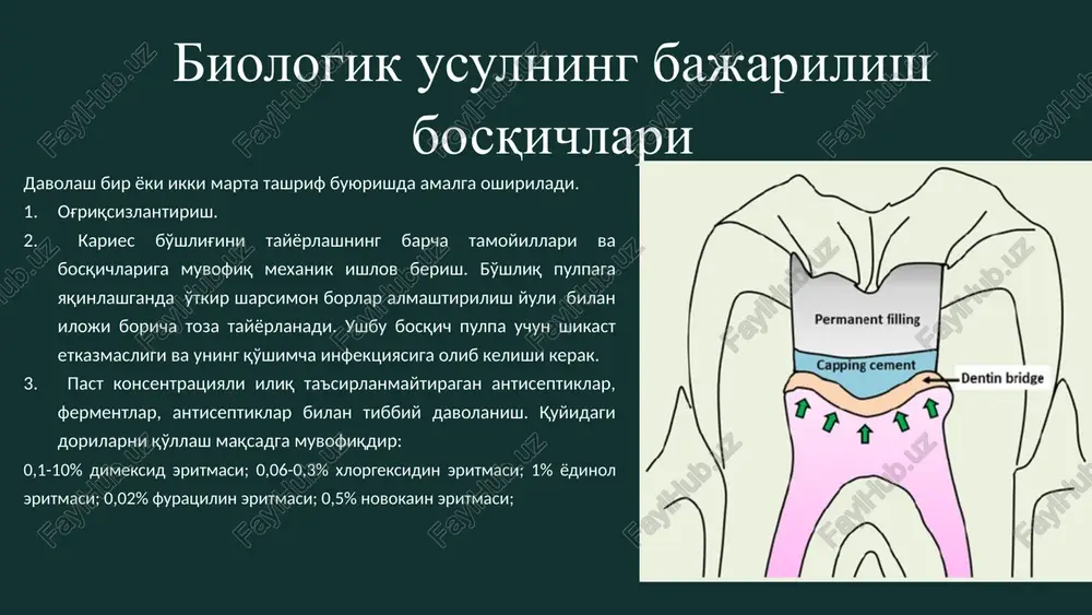 pulpitnidavolash.biologikusul(konservativusul) - Page 5