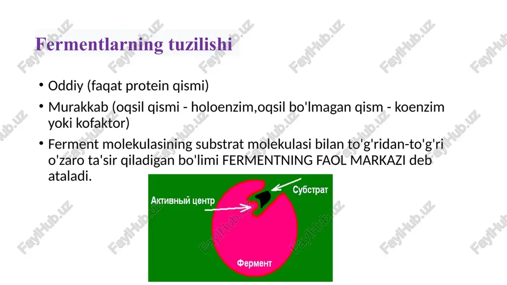 fermentlar(enzimlar) - Page 5