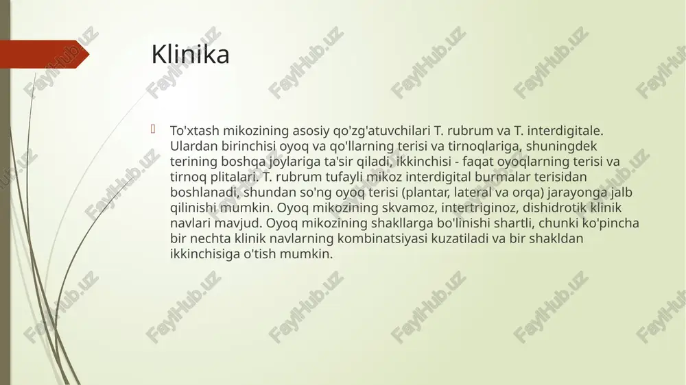 larini olib tashlash mahalliy antifungal terapiya bilan birlashtirilishi kerak: ta'sirlangan tirnoq plastinkasiga har kuni antifungal laklar yoki yodning 10% spirtli eritmasi (unchalik samarali emas) sog'lom tirnoq plastinkasi to'liq o'sguncha qo'llaniladi. haftada bir marta 15 daqiqa davomida soda-sovunli eritma bilan vannalar qilish kerak.hammom eritmasi 1 osh qoshiq soda, qo'pol qirg'ichga surtilgan smola sovunining 1/10 qismi, 1 litr 35–450c miqdorida tayyorlanadi. hammomdan keyin tirnoqning yumshatilgan qismlari fayl bilan olib tashlanadi. antifungal malham va kremlarni tirnoq to'shaklariga va atrofdagi teriga surtish kerak. shu maqsadda yuqori samarali va arzon terbinoks kremini tavsiya etish mumkin, uni sanab o'tilgan joylarga kuniga 2 marta yupqa qatlam bilan surtish kerak. davolashning samaradorligiga alohida e'tibor qaratmoqchiman apparat pedikyurasi yordamida cheklangan onikomikoz. uskuna pedikyurasi protseduralari butunlay og'riqsizdir, birinchisidan keyin ta'sirlangan tirnoqning ko'rinishi sezilarli darajada yaxshilanadi. tirnoq plitalarining keng tarqalgan shikastlanishi bilan yoki tirnoqning butun maydoni, shu jumladan uning ildizidagi maydon ta'sirlanganda, sanab o'tilgan protseduralarga qo'shimcha ravishda tizimli antifungal dorilarni qabul …