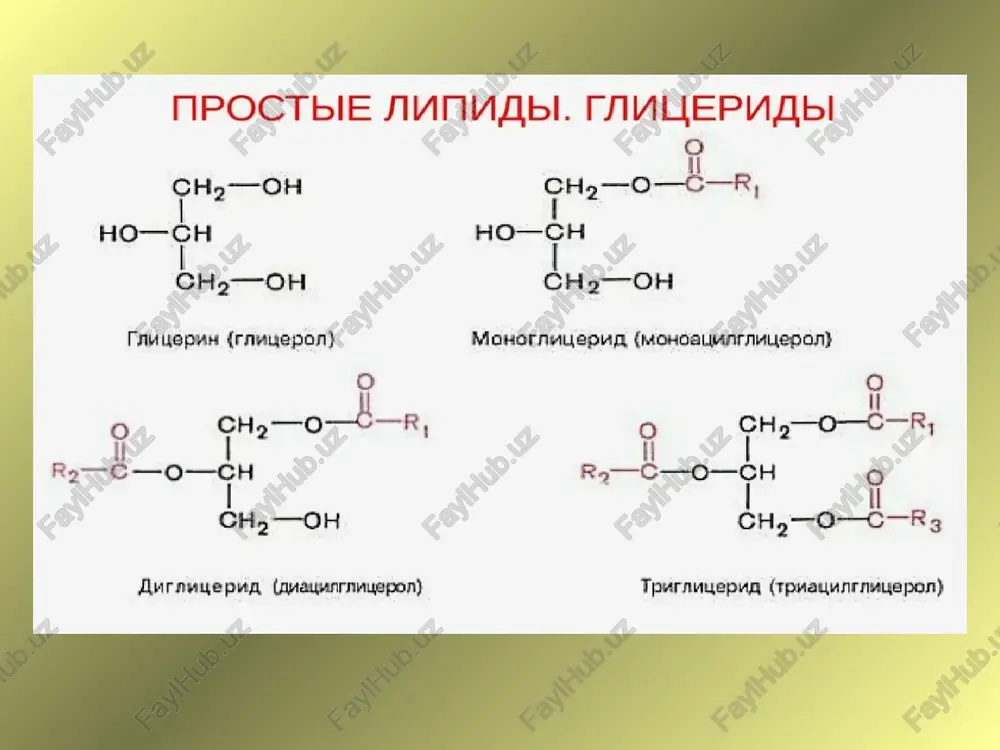 oddiy va murakkab yogʼlar. fosfolipidlar. mumlar va efir moylari - Page 5