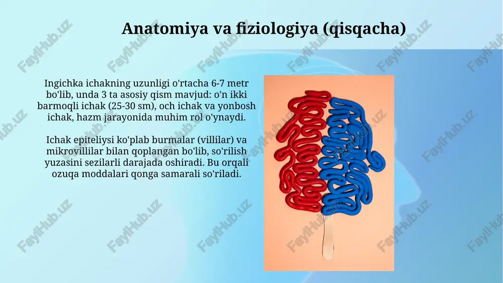 ichak oqmalari diagnostikasi. klassifikatsiyasi.davolash - Page 5