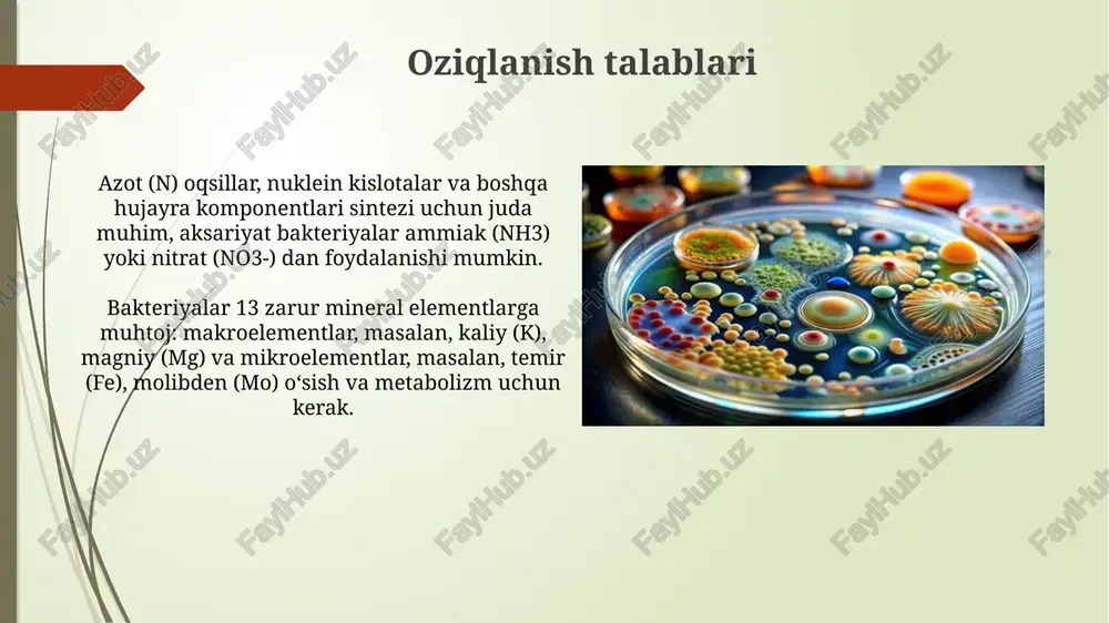 bakteriyalarning fiziologiyasi - Page 5