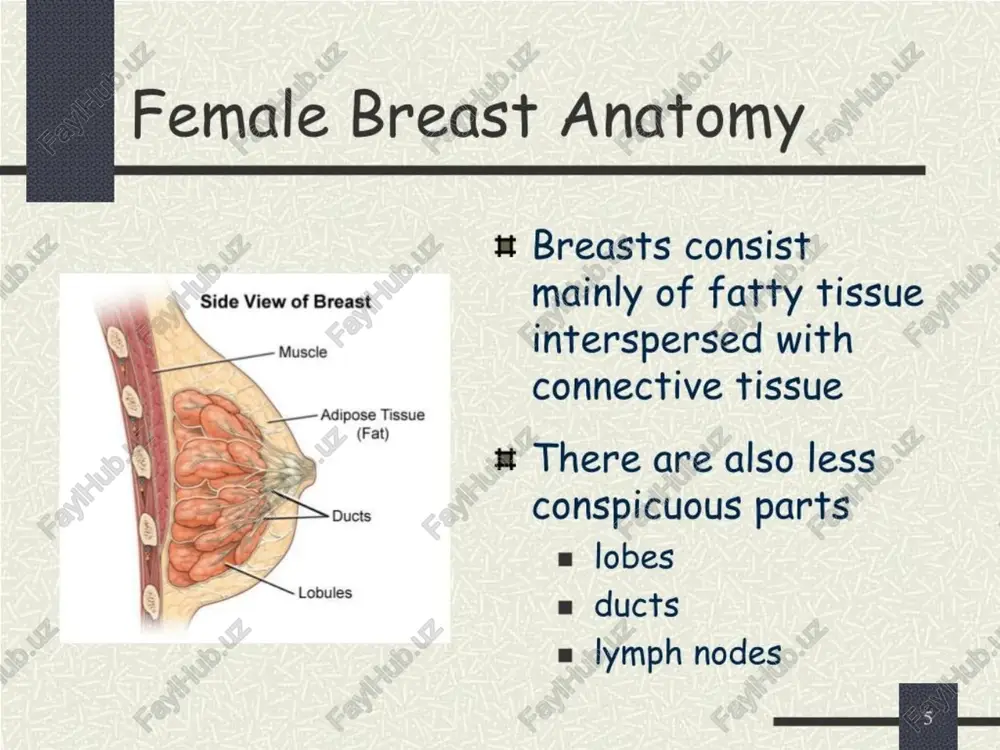 breast cancer - Page 5
