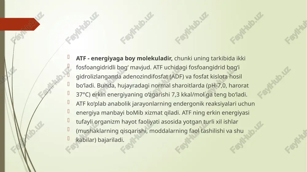energiya almashinuvi boshqarilishi - Page 5