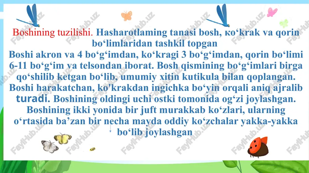 hasharotlar (insecta) sinfi - Page 5