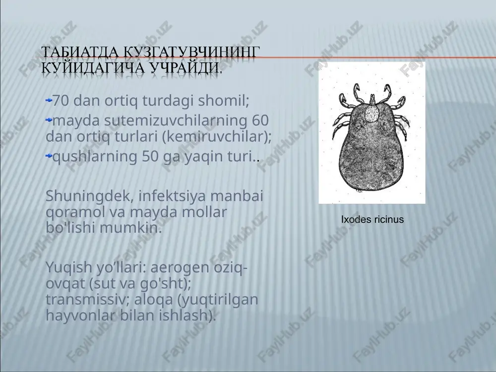 reopirin davolash dozalarida buyuriladi. patogenetik davoning asosi bo'lgan umumiy zaharlanishga qarshi preparatlar (5% glyukoza, fiziologik eritma, reopoliglyukin) vena ichiga tayinlanadi. asoratlangan shakllarda bir guruhli plazma, albumin, aminokislotalar aralashmalari (alvizin,infezol, aminasol) vena ichiga tavsiya qilinadi. simptomatik davo vositasi sifatida og'riqsizlantiruvchi, tinchlantiruvchi preparatlar va boshqalar buyuriladi. ku isitmasi profilaktikasini veterinariya va tibbiyot xizmatlari birgalikda ikki yo'nalishda: 1) qishloq xo'jalik hayvonlari orasida va 2) odamlar orasida olib boriladi. sanitar –gigiena qoidalariga rioya qilish, kasal hayvonlarni parvarishlaganda maxsus kiyim kiyish va uni dezinfektsiyalovchi preparatlar bilan qayta ishlash, xavfli guruhlar teri ichiga tirik m – 44 vaktsina bilan emlanadi. sanitar–oqartuv ishlarini olib borish kasallanishni kamaytiradi.
