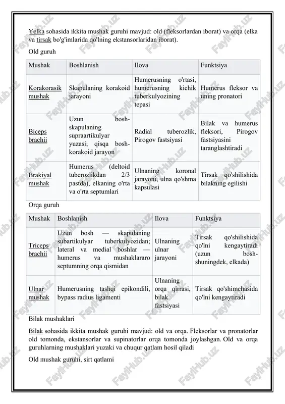 -korakoid jarayon radial tuberozlik, pirogov fastsiyasi bilak va humerus fleksori, pirogov fastsiyasini taranglashtiradi brakiyal mushak humerus (deltoid tuberozlikdan 2/3 pastda), elkaning o'rta va o'rta septumlari ulnaning koronal jarayoni, ulna qo'shma kapsulasi tirsak qo'shilishida bilakning egilishi orqa guruh mushak boshlanish ilova funktsiya triceps brachii uzun bosh — skapulaning subartikulyar tuberkulyozidan; lateral va medial boshlar — humerus va mushaklararo septumning orqa qismidan ulnaning ulnar jarayoni tirsak qo'shilishida qo'lni kengaytiradi (uzun bosh-shuningdek, elkada) ulnar mushak humerusning tashqi epikondili, bypass radius ligamenti ulnaning orqa qirrasi, bilak fastsiyasi tirsak qo'shimchasida qo'lni kengaytiradi bilak mushaklari bilak sohasida ikkita mushak guruhi mavjud: old va orqa. fleksorlar va pronatorlar old tomonda, ekstansorlar va supinatorlar orqa tomonda joylashgan. old va orqa guruhlarning mushaklari yuzaki va chuqur qatlam hosil qiladi old mushak guruhi, sirt qatlami mushak boshlanish ilova funktsiya dumaloq pronator humerusning medial epikondili, ulnaning koronal jarayoni radiusning lateral yuzasi bilakni teshadi bilakning radial fleksori humerusning medial epikondili, elkaning medial …