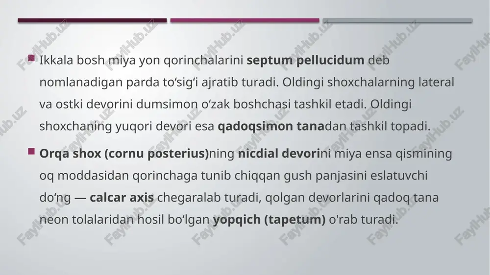 anatomiyakafedrasi - Page 5