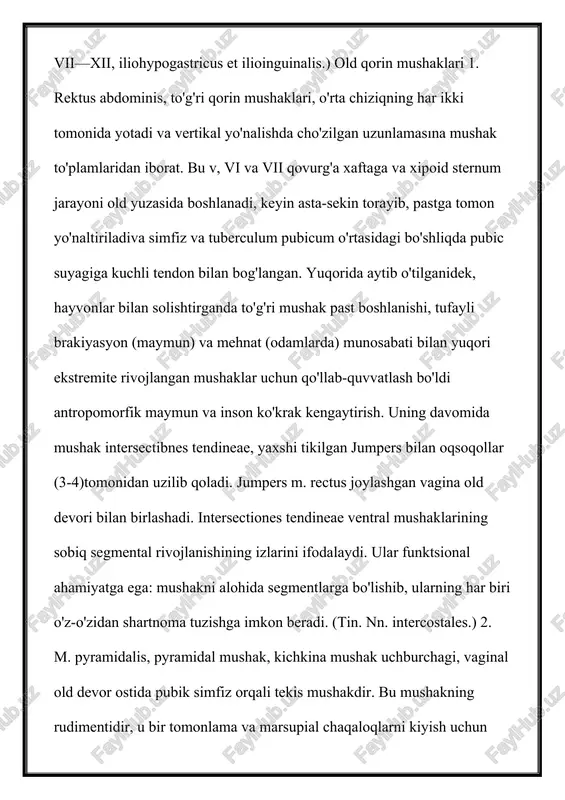 um abdominale deb ataladi, uningta'siri bu organlarning tarkibini defekatsiya, siyish va tug'ilish, shuningdek yo'tal va gijjalar bilan chiqarib yuborishda namoyon bo'ladi. ushbu harakatda diafragma ham ishtirok etadi, bu esa inhalatsiyani kuchaytirganda kamayib, qorin bo'shlig'iga yuqoridan pastgacha bosim o'tkazadi va tos bo'shlig'i diafragma ularga yordam beradi. bundan tashqari, qorin bo'shlig'i mushaklarining ohanglari tufayli ichaklar o'z pozitsiyasida saqlanadi; bu holda qorin bo'shlig'ining mushak-aponevrotik devori qorin bo'shlig'ini ushlab turuvchi rol o'ynaydi. bundan tashqari, qorin mushaklari orqa miya ustunini va magistralni egib, mushaklar antagonistlari bo'lib, ularni kengaytiradi. bu to'g'ridan-to'g'ri mushaklar hosil qiladi, ko'krak va pelvisni bir-biriga yaqinlashtiradi, shuningdek, ikki tomonlama qisqarish bilan obliquely bo'ladi. m. erector spinae bilan birga qorin bo'shlig'i mushaklarining bir tomonlama qisqarishi bilan tanani yon tomonga buring. obliquus externus abdominis va qarama — qarshi tomonida-m. obliquus externus abdominis m. obliquus toraks bilan umurtqa aylanish ishtirok qorin mushaklari. nihoyat, qorin bo'shlig'i mushaklari nafas olish harakatlarida ishtirok etadi: qovurg'alarga biriktirilganda, ular nafas olishni …