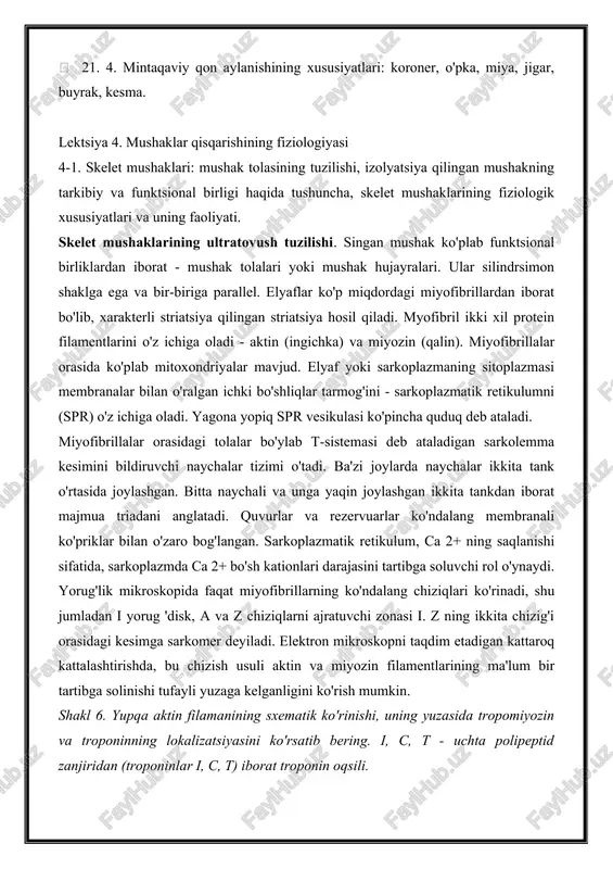 ida ko'plab mitoxondriyalar mavjud. elyaf yoki sarkoplazmaning sitoplazmasi membranalar bilan o'ralgan ichki bo'shliqlar tarmog'ini - sarkoplazmatik retikulumni (spr) o'z ichiga oladi. yagona yopiq spr vesikulasi ko'pincha quduq deb ataladi. miyofibrillalar orasidagi tolalar bo'ylab t-sistemasi deb ataladigan sarkolemma kesimini bildiruvchi naychalar tizimi o'tadi. ba'zi joylarda naychalar ikkita tank o'rtasida joylashgan. bitta naychali va unga yaqin joylashgan ikkita tankdan iborat majmua triadani anglatadi. quvurlar va rezervuarlar ko'ndalang membranali ko'priklar bilan o'zaro bog'langan. sarkoplazmatik retikulum, ca 2+ ning saqlanishi sifatida, sarkoplazmda ca 2+ bo'sh kationlari darajasini tartibga soluvchi rol o'ynaydi. yorug'lik mikroskopida faqat miyofibrillarning ko'ndalang chiziqlari ko'rinadi, shu jumladan i yorug 'disk, a va z chiziqlarni ajratuvchi zonasi i. z ning ikkita chizig'i orasidagi kesimga sarkomer deyiladi. elektron mikroskopni taqdim etadigan kattaroq kattalashtirishda, bu chizish usuli aktin va miyozin filamentlarining ma'lum bir tartibga solinishi tufayli yuzaga kelganligini ko'rish mumkin. shakl 6. yupqa aktin filamanining sxematik ko'rinishi, uning yuzasida tropomiyozin va troponinning lokalizatsiyasini ko'rsatib …