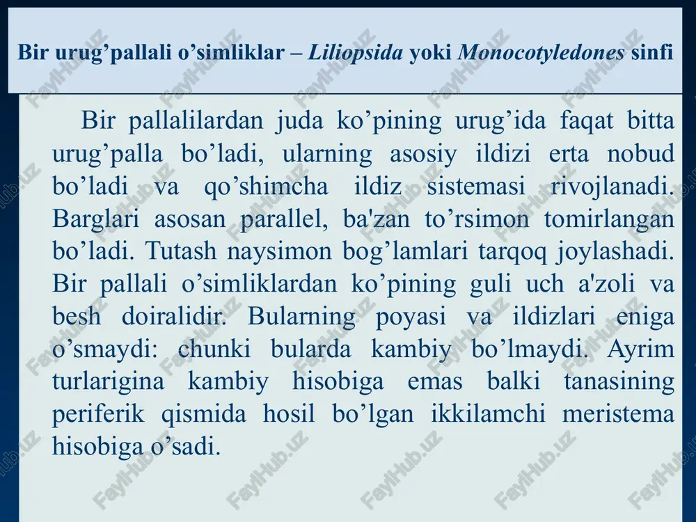 - alliaceaep 3+3 a 3+3 g 1 piyozdoshlar oilasi - alliaceae. oila 30 turkum, 250 turni bir-lashtiradi. o’zbekistonda 100 dan ortiq turi o’sadi. bu oilaga piyozchali yoki ildizpoyali ko’p yillik o’simliklar kiradi. ularning barglari nashtarsimon yoki qalami, bandsiz. to’pgullari oddiy yoki murakkab soyabonda o’rnashgan. o’simliklarning piyozi o’tkir hidli yoki sarimsoq hidi va ta'mi bor. o’zbekistonda yovvoyi holda o’sadigan piyozlarning ko’pchiligi "o’zbekiston respublikasi qizil kitobi”ga kiritilgan. ozrfa botanika inistituti saqlanayotgan piyozlarning gerbariy namunalari piyozlarning tarqalishi va o’rganilish tarixi. allium l. turkumining 700 ga yaqin turlari mavjud bo’lib, ular eski va yangi dunyo ( avstraliyadan tashqari) da keng tarqalgan. eng kata kenja turkumlardan biri bo’lgan allium 300 tur, 500 kenja turga ega. turkumning tur ichi taksonomiyasi dastlab e regel tomonidan tadqiq qilingan. 1875) va 263 tur hamda o’rta osiyoda o’suvchi yuqoridagi turlarning o’zgargan shakllari kiritilgan. udan keyin bir qator etakchi botaniklar piyoz sistematikasini ishlab chiqishni davom ettirganlar. allium l. turkumini o’rganish yuzasidan …