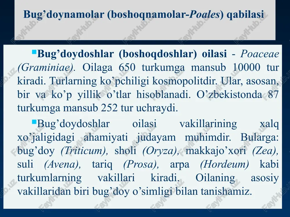 salabdoshlar-orchidaceae oilasi - Page 5
