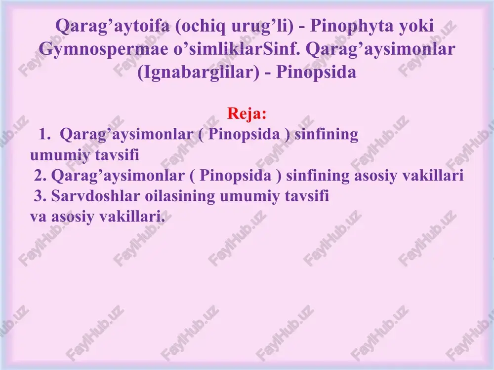 r. toshkent sharoitida 10 yaqin turi introduksiya qilingan. markaziy osiyoda bitta turi tabiiy holda o ‘sadi. oqqarag‘ay (abies) turkumi oqqarag‘ay bir uyli, ayrim jinsli daraxt. qubbalari oval shaklda bo‘lib, daraxtning yuqori qismida, novdalarda tik joylashadi. ular birinchi yili yetiladi. changlanish oldidan chang xaltachasi ko‘ngdalang yoriladi va ichidagi changi sochilib tarqaladi. yetilgan qubbalarining tangachalari kuzda to‘kiladi, lekin o ‘zagi daraxtda qoladi. oqqarag‘ay asosan urug‘dan ko‘payadi. qarag’ay- pinus, el-picea tilog’och- qaraqaykabilarning ko’pchilik turlari baland bo’yli, ayrimlari esa gigant daraxtlardan iborat. masalan kaliforniyada o’suvchi doim yashil sekvoyya (sequoia sempervirens). bu daraxtga indeyslarning yo’lboshlovchisi sekvoyya sharafiga, uning nomi berilgan. balandligi 110 m gacha, poyasining diametri esa 10 m gacha etgan. tissanamolar (taxales) qabilasi tissanamolar (taxales) qabilasi doim yashil daraxt va butalardan tashkil topgan. qabila 2 ta oilaga mansub 20 ta turni o’z ichiga oladi. ular asosan, shimoliy yarim shardagi issiq hududlarda tarqalgan. sarvnamolar-cupressales qabilasi sarvdoshlar-cupresaceae oilasi. sarvdoshlar-cupresaceae oilasiga 19 ta turkum 130-150 ga yaqin …