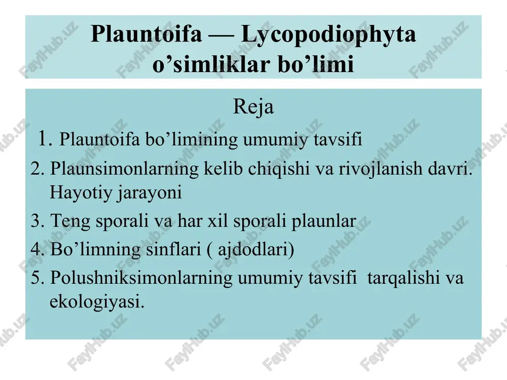 gametofitlari vujudga keladi. gametofit spora pardasining ichida rivojlanib, sekin-asta uchburchak shakilda tashqariga yorib chiqadi, lekin undan ajralib ketmaydi. hosil bo’lgan gametofitda arxegoniyiar yuzaga keladi, ulardagi tuxum hujayra bilan spermatozoidlar qo’shilishi natijasida otalanish sodir bo’ladi. otalangan tuxum hujayradan embrion hosil bo’lib, u asta-sekin voyaga yetgan selaginella o’simligiga aylanadi. plauntoifa — lycopodiophyta o’simliklar bo’limi bo’lim- plauntoifa - lycopodiophyta sinf (ajdod)- plaunsimonlar -lycopodiopsida qabila-selaginellanamolar – selaginellales oila-selaginelladoshlar - selaginellaceae turkum-selaginella-selaginella tur--selagasimon selaginella - selaginella selaginoides selaginella isoetes lacustris isoetes lacustris polushik-isoetales shimoliy mintaqadagi ko’llarda suv xavzalarining chuchukmas tubida o’sadigan ko’p yillik o’t o’simlik. tashqi ko’rinishidan piyoz o’simligiga o’xshaydi. ularda yo’g’on tortgan kalta poya bo’lib poya zich joylashgan ustma-usht bo’lib yotadigan barglar bilan qoplangan. lepidendronlar-lepidodendrineae sinfi lepidendronlarning ko’pchilik turlari har-xil sporali o’simliklaar bo’lgan. ular devondan to triasgacha yashagan va toshko’mir davrida juda ko’paygan. eng asosiy turkumlaridan biri lepidendron bo’lib bo’yi 20-30 m yo’g’onligi 2 m gacha brogan. ularning uzun tanasi to’g’ri bo’lib, ko’pincha dixotomik …