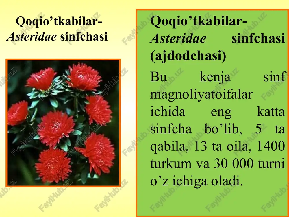 mansub dorivor o’simliklarning xalq xo’jaligidagi ahamiyati qoqiotdoshlar oilasiga mansub dorivor o’simliklarning xalq xo’jaligidagi ahamiyati № o’simliklning nomi oziq-ovqat dorivor manzarali efir-moyli em-xashak 8 calendula officinalis – dorivor tirnoqgul - + + + - 9 centaurea sguarrosa-yoyiq bo’tako’z - + - - - 10 salidago sadensis l. –kanada solidagosi - + + + - 11 taraxacum officinali web.-dorivorqoqio’t-momoqaymoq - + + - - 12 helianthus tuberosus-topinambur ( yer noki) + + + - - 13 xanthium strumarium l.- qo’za tikan, qo’ytikan - + - - + 14 xanthium spinosum l.- oddiy qo’ytikan - + - - + e’tiboringiz uchun raxmat lopux, repeynik