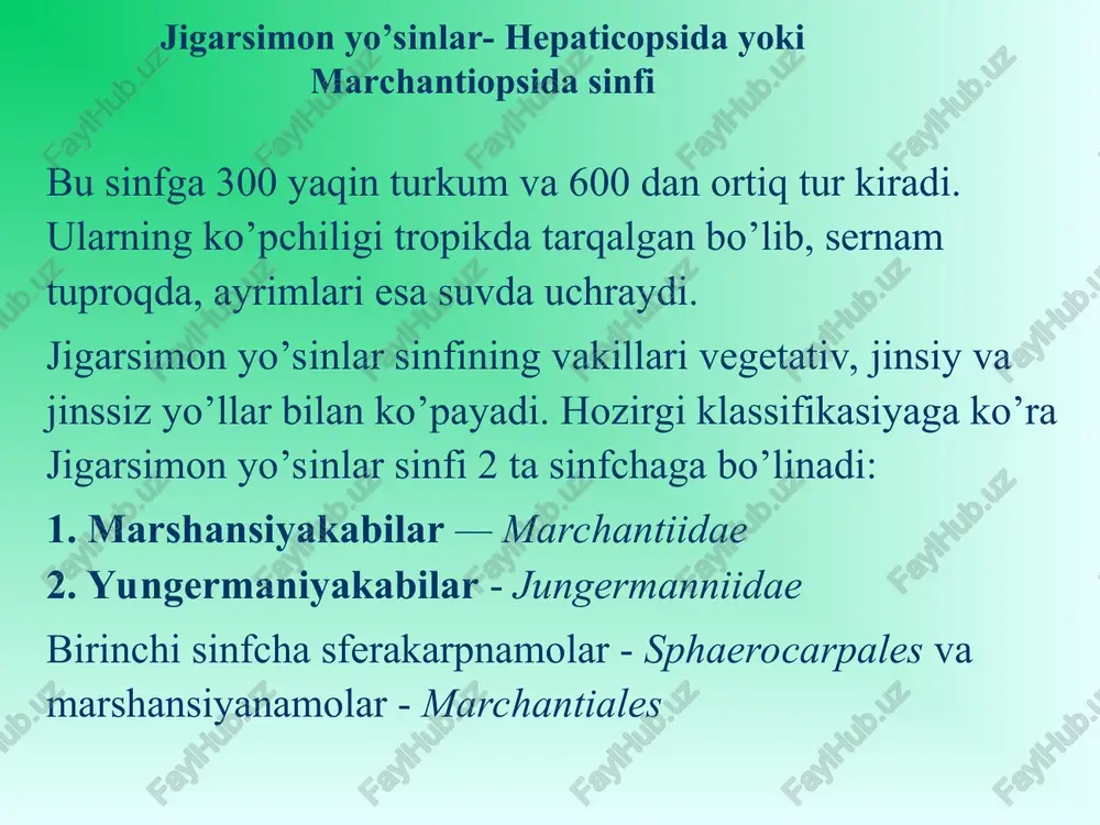 yo‘sintoifa (moxtoifa) - bryophyta o‘simliklar bo‘limi - Page 5