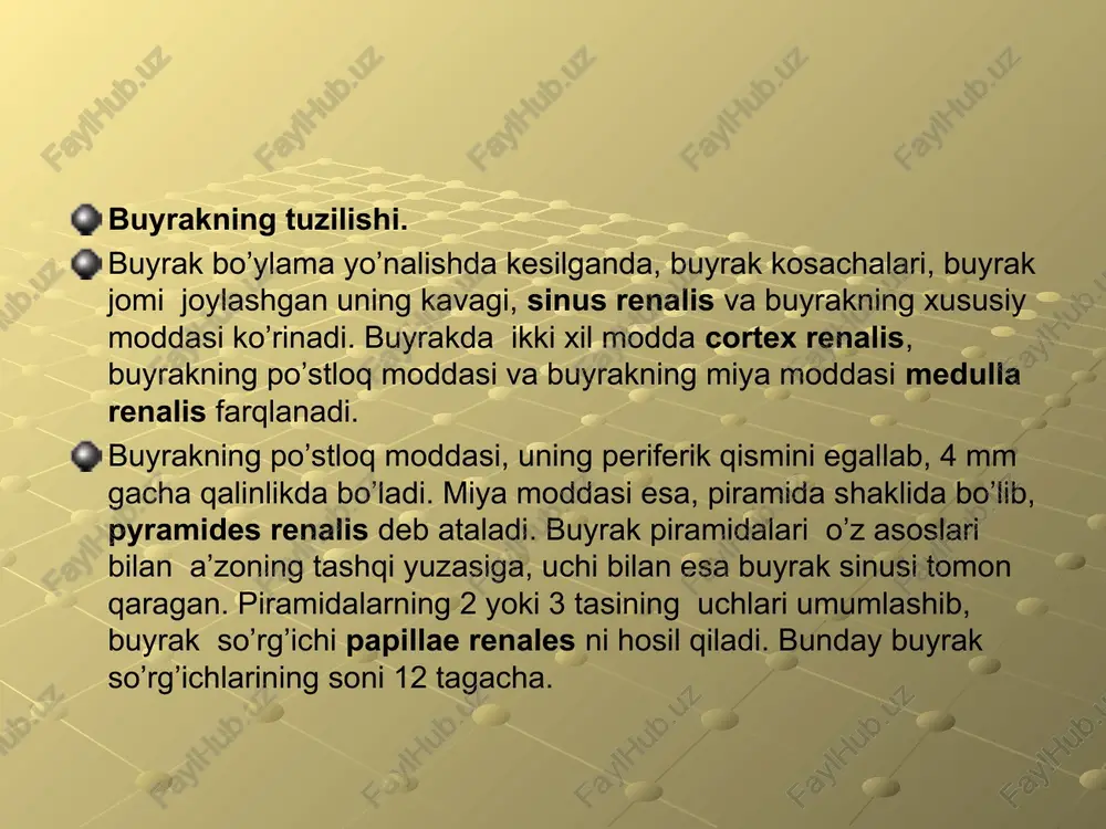 siydik a’zolari - Page 5