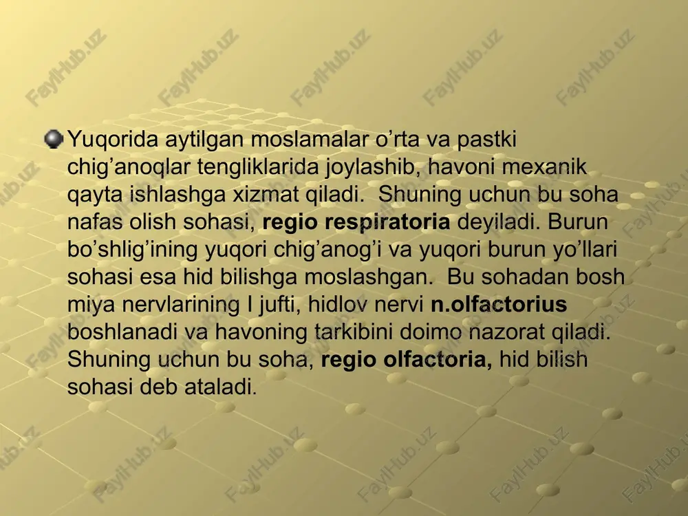 nafas olish sistemasi - Page 5