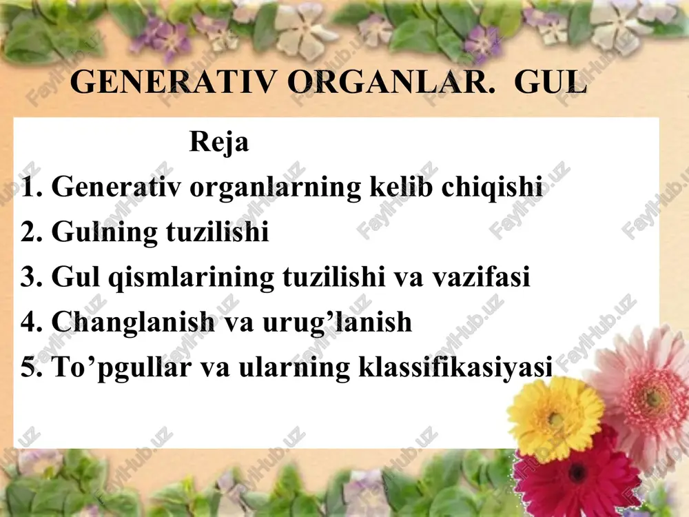 i. urug’chi gulli o’simliklarda uzoq davom etgan evolyusiya jarayonida mevabargchalardan hosil bo’lgan.mevabargchalar morfofunksional tuzulishiga ko’ra megasporafillarga tog’ri keladi. urug’kurtak-shakli o’zgargan megasporangiy. markaziy qismi -nusellus o’rab turuvci qobiq -intugment urug’kurtak bandi -funikulis urug’kurtak tiplari. yetti hujayrali murtak haltasi. * tayanch so’zlar gul o’rni, gul bandi, gulqo’rg’on, gulkosa, gultoj, aktinomorf (to’g’ri), zigomorf (qiyshiq), assimmetrik gullar. androtsey (erkak, uy) mikrosporogenez, mikrospora (kichik, spora), vegetativ, generativ hujayralar, ginetsey (urg’ochi, uy), nutsellus (yadro), integument (qoplama), sinergidlar (birgalikda), antipodlar (qarama - qarshi oyoq), xalaza (urug’kurtak tagi),avtogamiya, geytogamiya, klustogamiya, etnomofiliya, orintofiliya, xiropterofitliya, anemofiliya, gidrofiliya, to’pgullar, monoxaziy, dixaziy, pleyexaziy,tirs. * gulga tegishli atamalar o’zbekcha ruscha inglizcha gul tsvetok flower,blossom to’g’ri kosacha aktinomorfnaya chashechka actinomorphous calyx to’g’ri gultoj aktinomorfniy venchik actinomorphous corolla to’g’ri gul aktinomorfniy tsvetok actinomorphous flower burama gul atsiklicheskiy tsvetok acyclic flower changchilar androtsey androecium qiyshiq gul zigomorfniy tsvetok zygomorphous flower g’uncha buton flower bud qiyshiq gultoj zigomorfniy venchik zygomorphous corolla gulga tegishli atamalar o’zbekcha ruscha inglizcha …