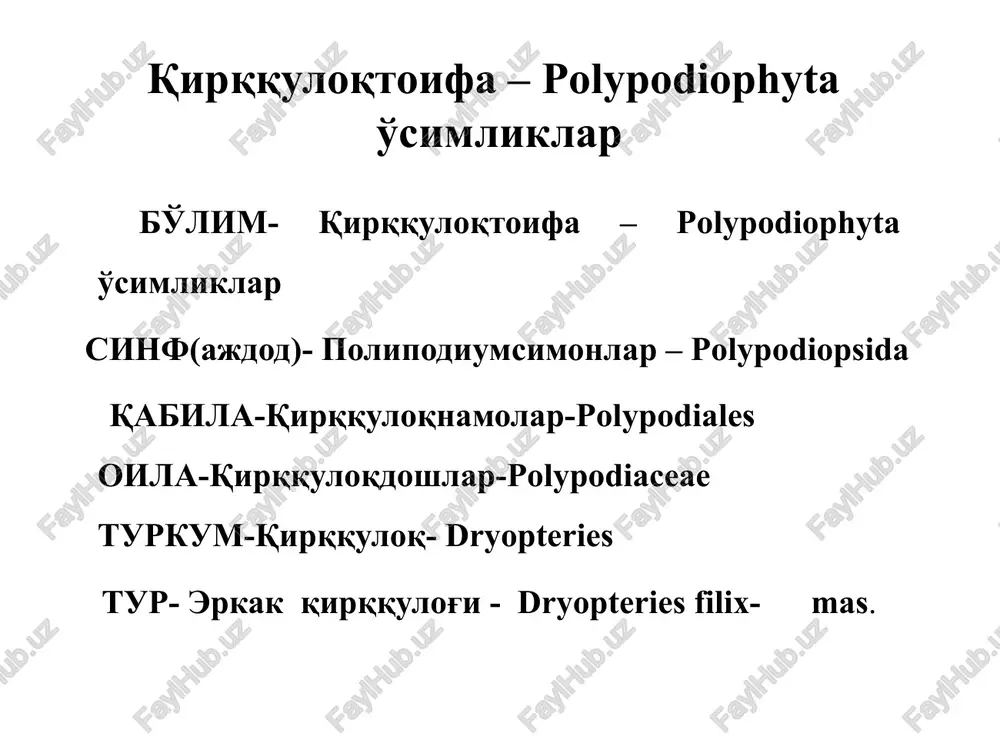 l paporotnikovidnie vklyuchaet odin klass, podrazdelyaemiy na vosem podklassov. tri iz nix vimerli eshyo v permi. sovremennix paporotnikovidnix okolo desyati tisyach vidov (300 rodov). naibolee primitivnimi sredi nix yavlyayutsya izvestnie s karbona marattievie i ujovnikovie. nastoyashie paporotniki. verxniy ryad, sleva napravo: orlyak obiknovenniy, aspleniy stepnoy, shitovnik mujskoy, kriptogramma kurchavaya. nijniy ryad, sleva napravo: ligodium, mnogonojka obiknovennaya, tsibotium menzisa, strausnik obiknovenniy samiy obshirniy sovremenniy podklass – nastoyashie paporotnik, izvestniy, v osnovnom, s triasa i naschitivayushiy do desyati tisyach vidov. nastoyashie paporotniki rasseleni po vsemu miru. nastoyashie paporotniki. verxniy ryad, sleva napravo: aspleniy severniy, mnogoryadnik kopevidniy, diksoniya antarkticheskaya, vittariya lineynaya (svisaet baxromoy s dereva). nijniy ryad: puzirnik lomkiy, zubyanka klubnenosnaya, skrebnitsa aptechnaya, listovik skolopendroviy raznosporovie paporotnikovidnie predstavleni dvumya podklassami: marsilievie (marsileidae) – okolo 70 vidov, i salvinievie (salviniidae) – 2 semeystva, okolo 15 vidov; oba podklassa – vodnie rasteniya, prikreplyayushiesya ko dnu libo plavayushie po poverxnosti vodi. sleva napravo: marsilievie (marsiliya chetiryoxlistnaya, …