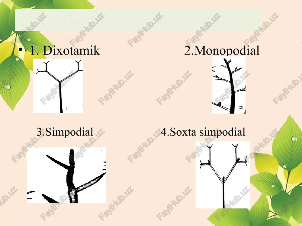 leaf tuxumsimon barg yaytsevidniy list ovoid nashtar bargli lantsetolistniy lance-leaved barg qo’ltig’i pazuxa lista leaf axil barg qirrasi kray lista leaf crown asosiy band glavniy chereshok main petiole bargning nervatsiya lista nervation leaf yumaloq aylana barg okrugliy list orbiculate leaf bargning ustunsimon hujayralari soedinitelnaya tkan palisade tissue * bargga tegishli atamalar o’zbekcha ruscha inglizcha patsimon bo’lingan barg peristorazdelniy list pinnately-parted leaf tikanli barg shipovatiy list prickly leaf bandsiz barg sidyachiy list sessile leaf uch yaproqli barg troychatiy list ternate leaf barg uchi konchik lista tip leaf suv bug’lanish jarayoni transpiratsiya transpiration l/o/g/o thank you! t-sxema oddiy barglarga quyidagi o’simliklarning barglari qaysi tipga tegishli? murakkab barglarga 1. 2. 3. 4. 5. 6. 7. 8. 9. 10. 11. 12. 13. 14. 15. 1. loviya 2. shaftoli 3. olma 4. kaktus 5. beda 6. karam 7. paxta 8. o’rik 9. uzum 10. akatsiya 11.maymunjon 12. tut 13. shuvoq 14. mosh 15. lola daraxti …